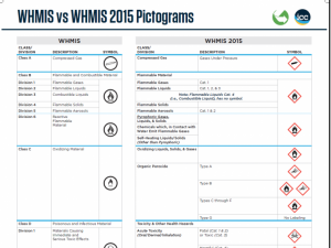 WHMIS 2015 GHS pictograms poster